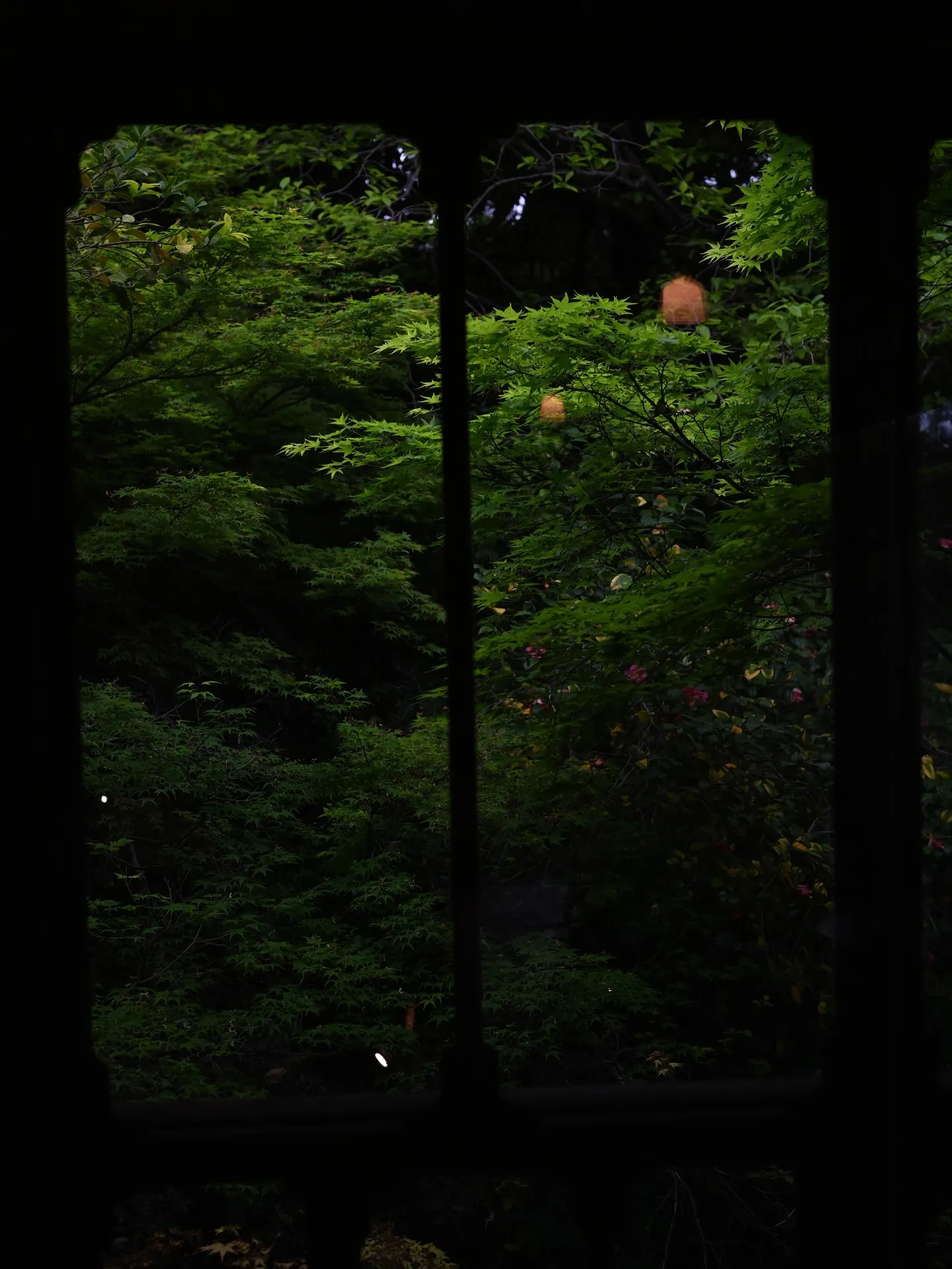 自分を偽わらないで生きている人の周りには